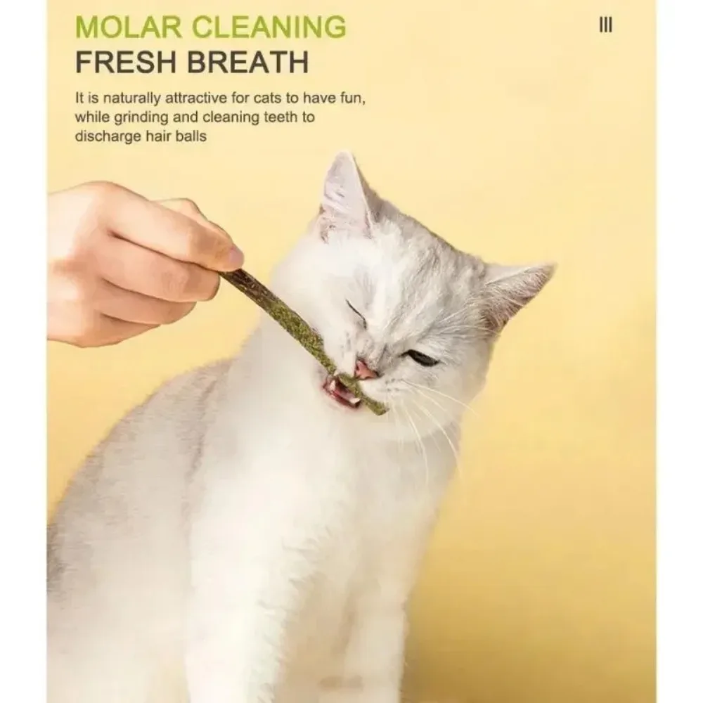 6 Matatabi-Kaustäbchen mit Minze für Katzen 4