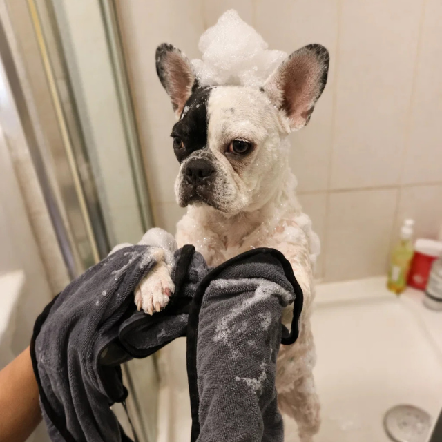 Hundehandtuch mit Taschen 2