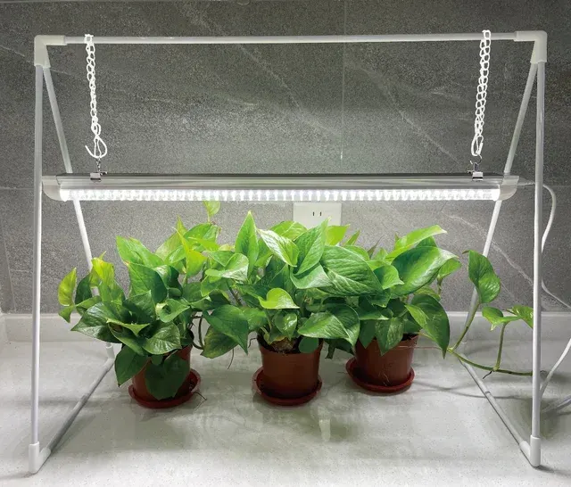 LED Pflanzenlicht mit Rahmen für Gemüse Blüten 2