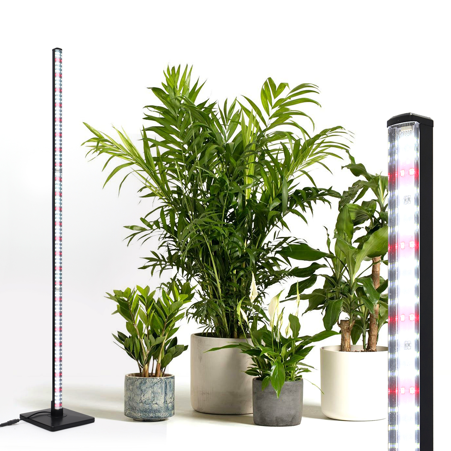 Dekorative Stehlampe 56 Zoll LED Pflanzenlicht