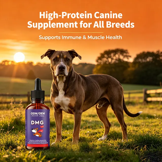 Flüssige Hunde-Nahrungsergänzung, proteinreich 4