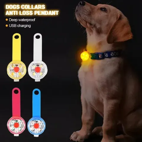 LED-Hundehalsband