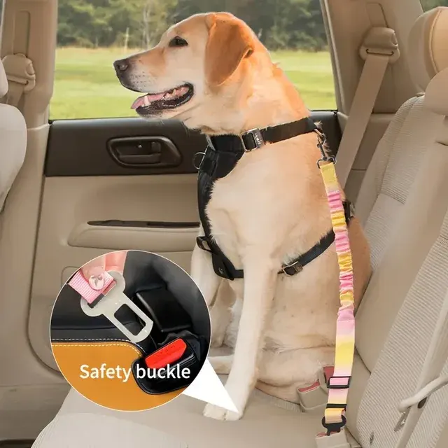 Hunde-Autogurt 3