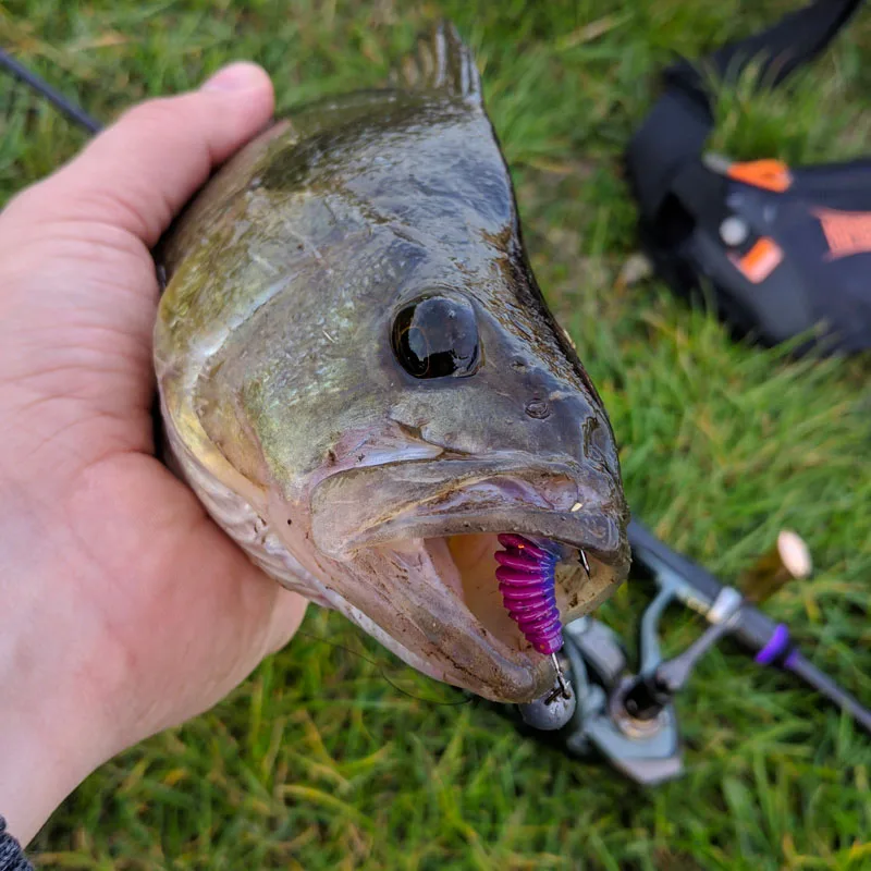 Gummiköder Wurm 4