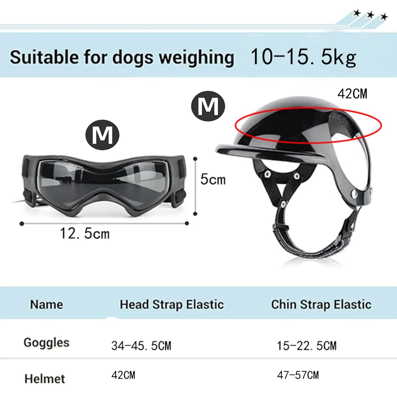 Hunde-Sonnenbrille 2