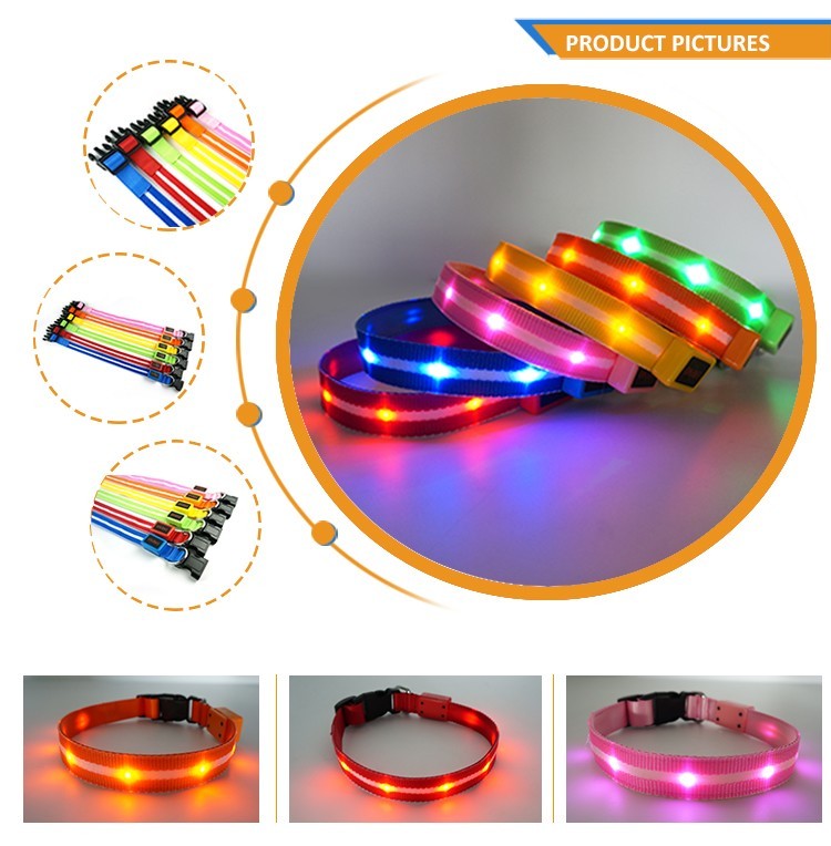 LED-Hundegurt, wiederaufladbar, leuchtend 2