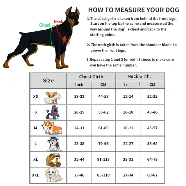 Hundegeschirr 2