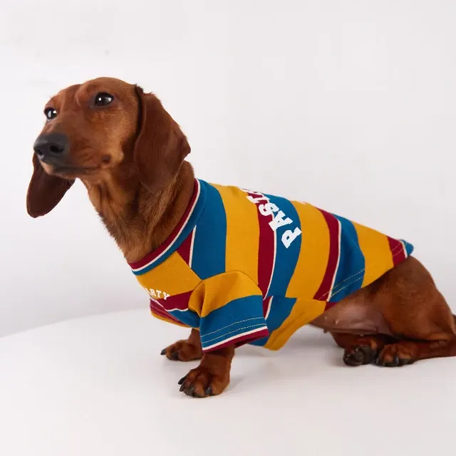 Hunde-T-Shirt 2
