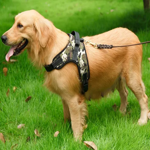 Hundegeschirr Weste