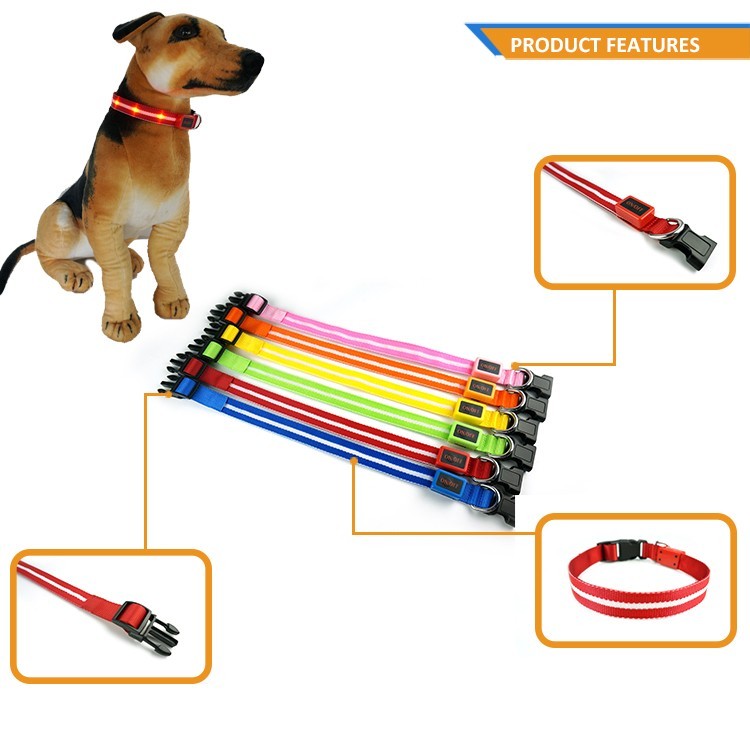 LED-Hundegurt, wiederaufladbar, leuchtend 3