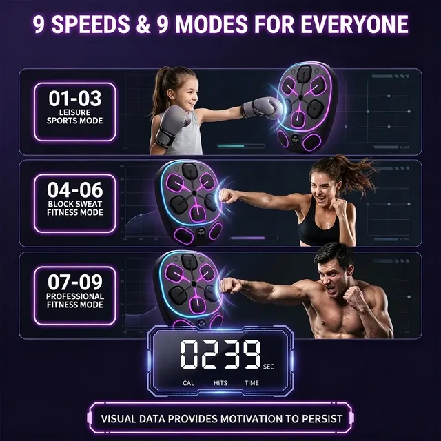 Wand-Boxtrainer 3