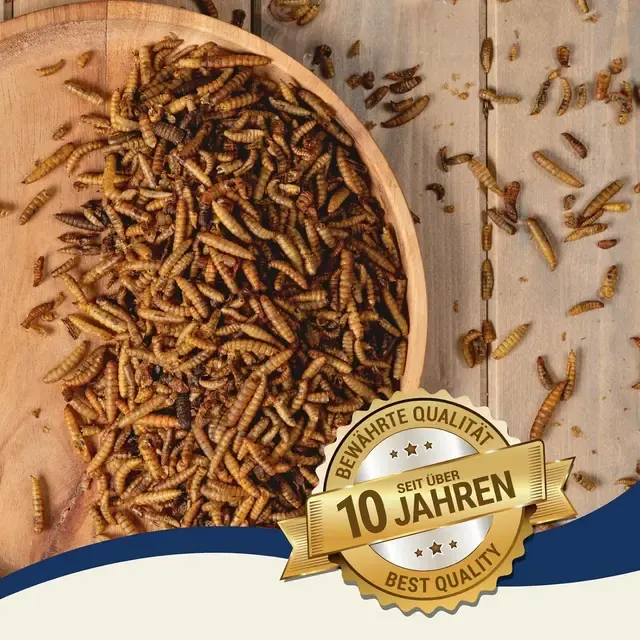 getrocknete Insektenlarven 4