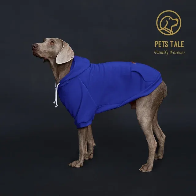 Hunde-Hoodie 2