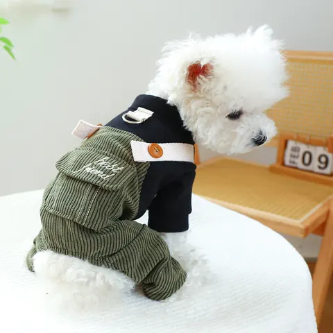 Hundekleidung