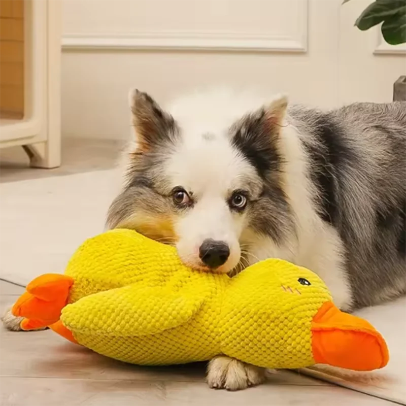Gelbes Plüsch-Entenspielzeug für kleine Hunde 3