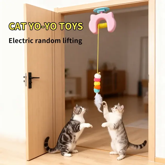 elektrisches Katzenspielzeug 2