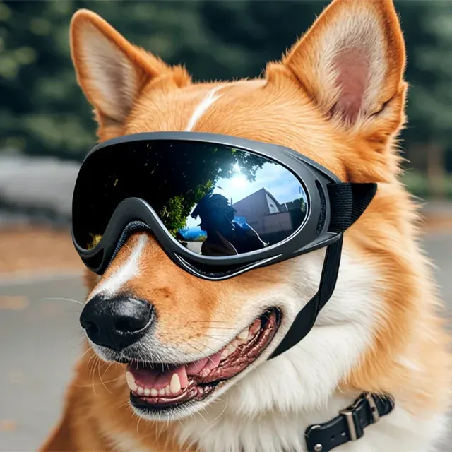 Hunde-Sonnenbrille 2