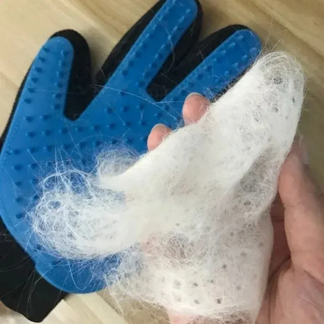 Haustier-Pflegehandschuh 2