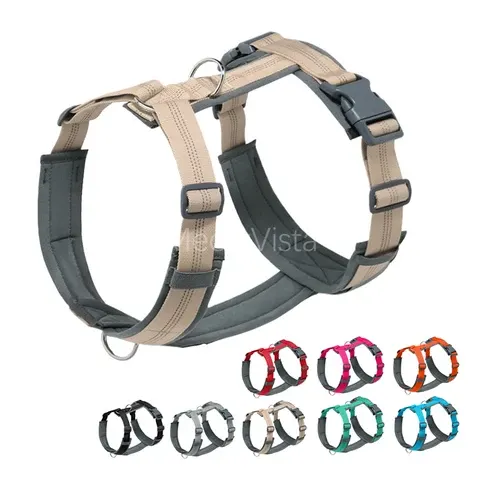 Hundegeschirr-Set