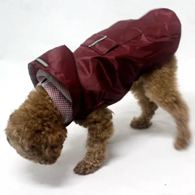 Hunde-Regenmantel 4