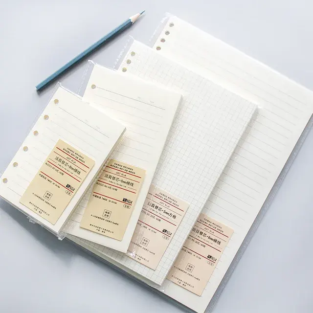 Ringbuch-Nachfüllung 4
