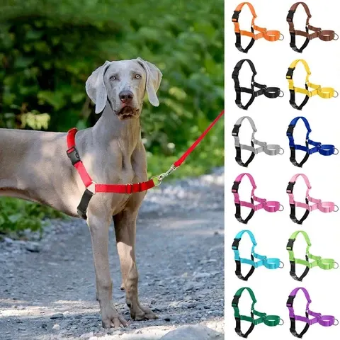 Hundegeschirr-Weste