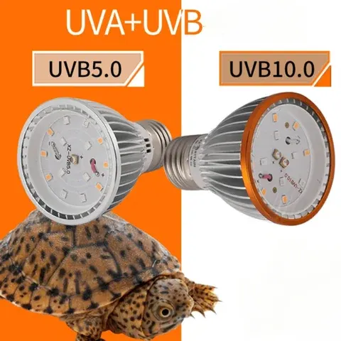Reptilien-UVB-Lampe