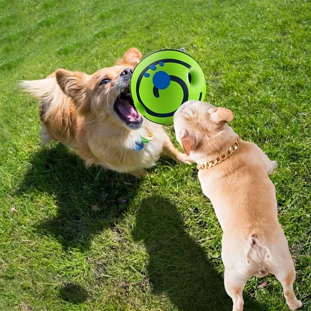 Quietsch-Hundeball 2