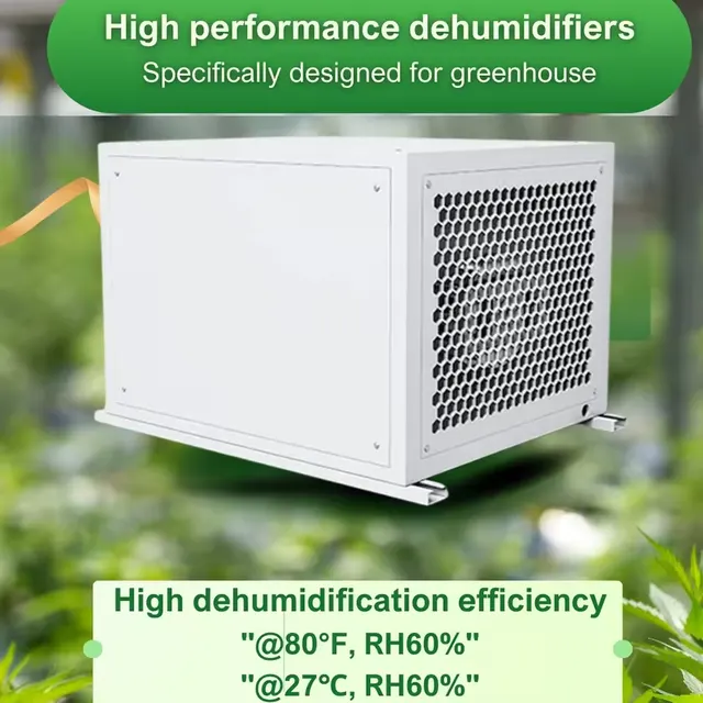 Growraum Entfeuchter 166 Liter Pilzhaus 4