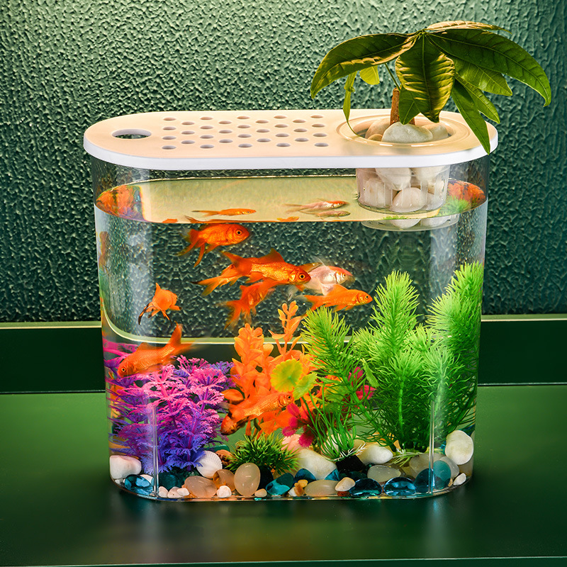Acryl-Aquarium