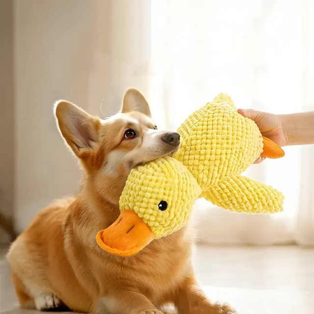 Plüsch-Enten-Hundespielzeug 3