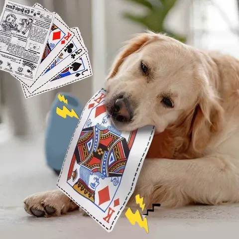 Papier-Hundespielzeug
