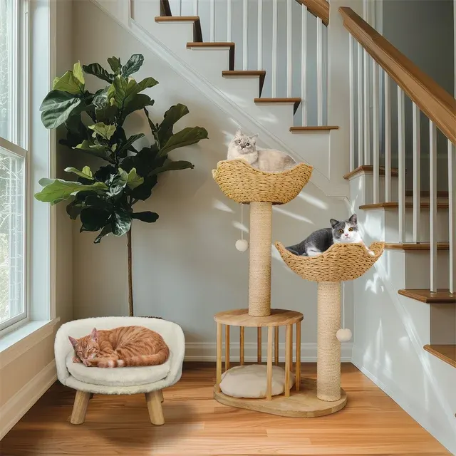 Katzenbaum 4