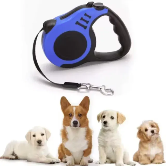 Automatische Hundeleine 2
