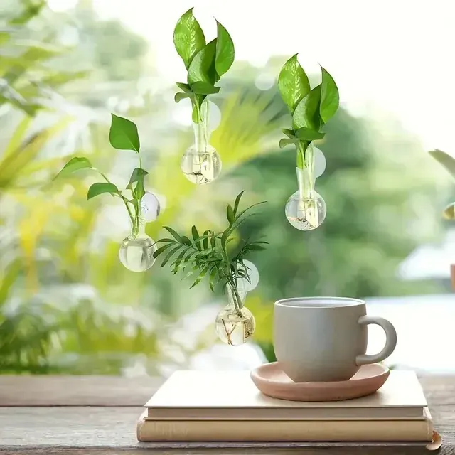 Wand-Hydrokultur-Vase 4