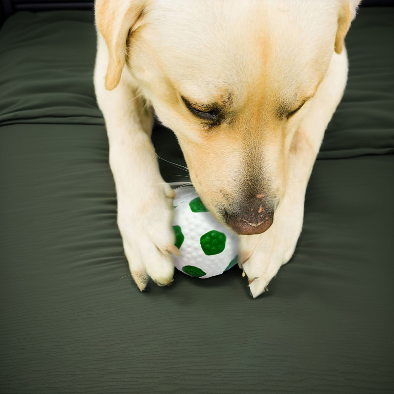 Selbstrollender Hundeball