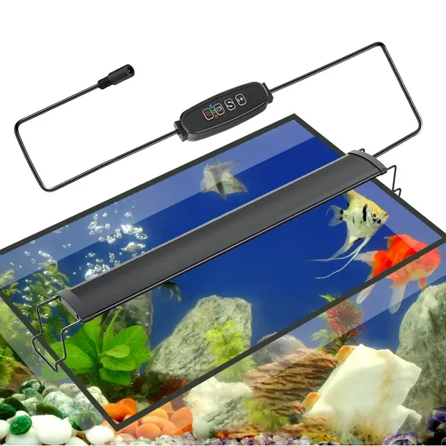 Aquarienlicht 2