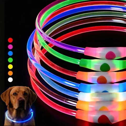 LED-Hundehalsband
