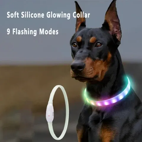 LED-Hundehalsband