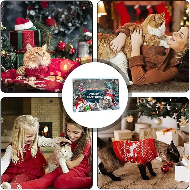 Katzen-Adventskalender 2
