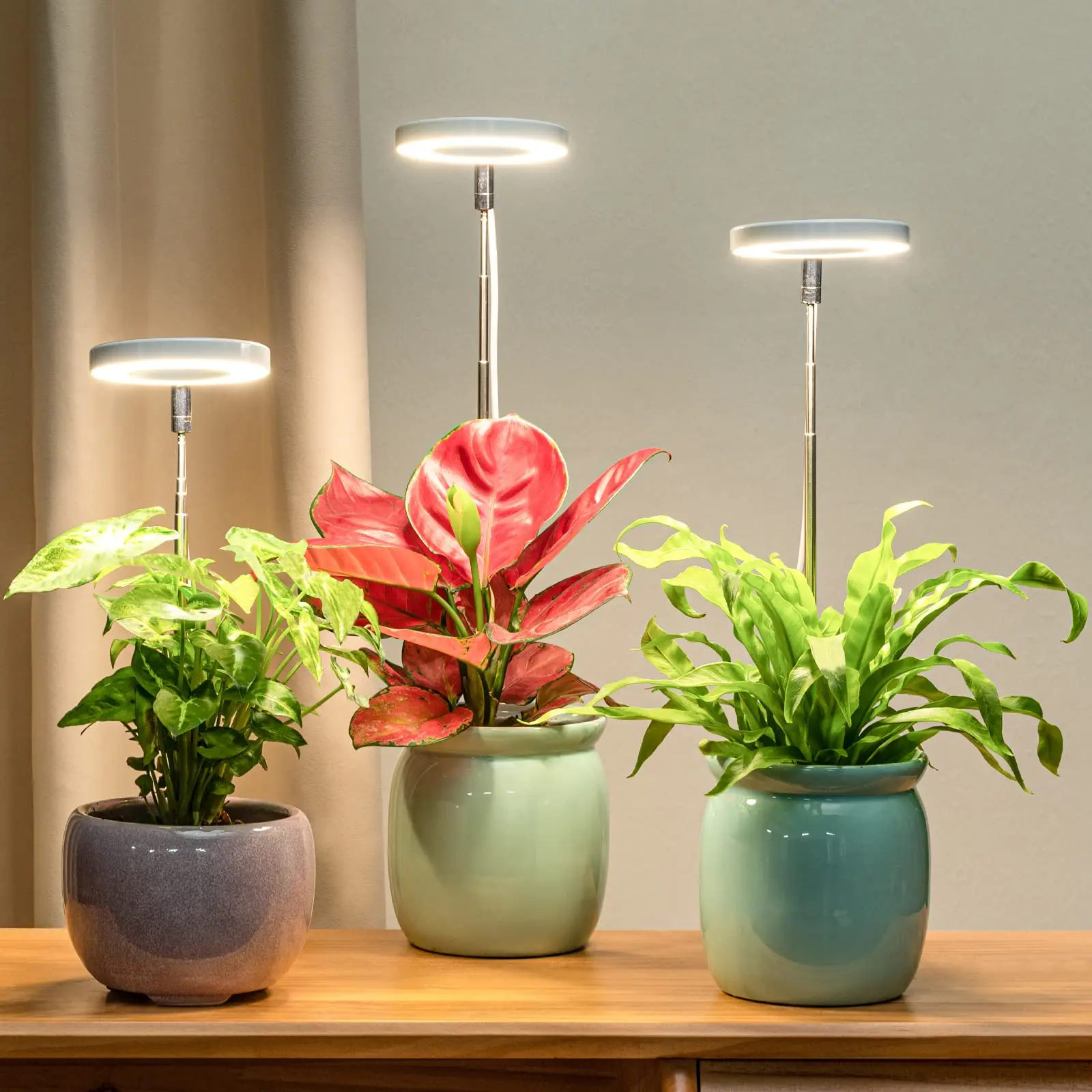 LED-Pflanzenlampe Vollspektrum mit Timer 2