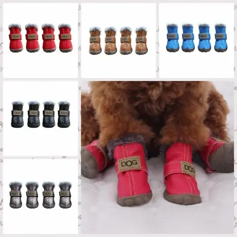 Hunde-Schneeschuhe