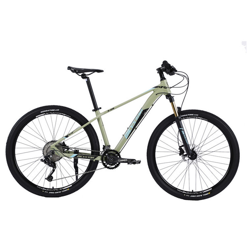 Vollfederung 29-Zoll-Mountainbike 21-Gang Stahl 4