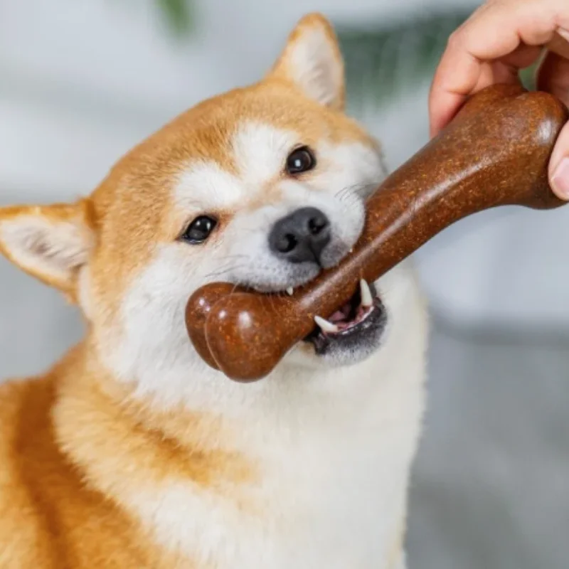 Hunde-Kauspielzeug 3