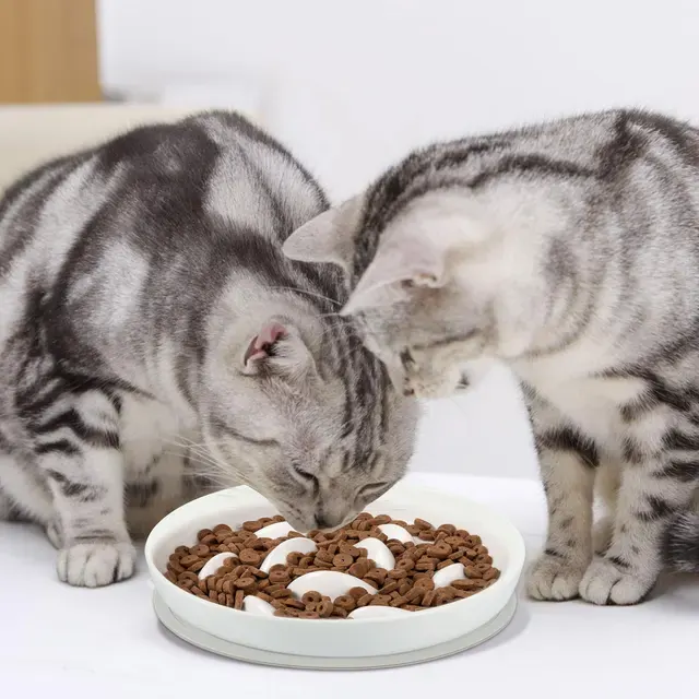 Slow-Feeder Katzennapf 3