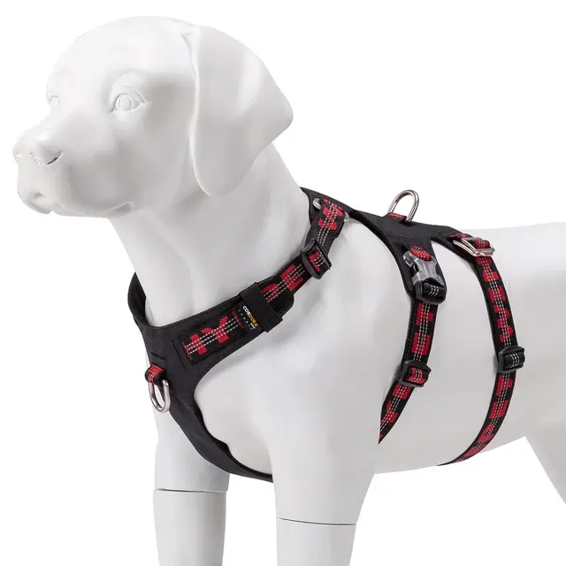 Hunde-Tragegeschirr 4