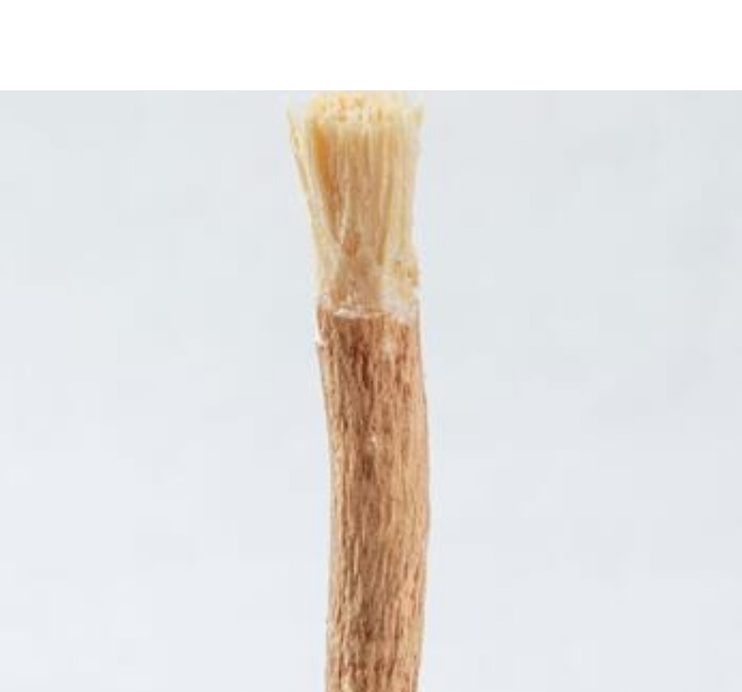 Natürlicher Miswak-Kaustab aus Holz, Bio 2