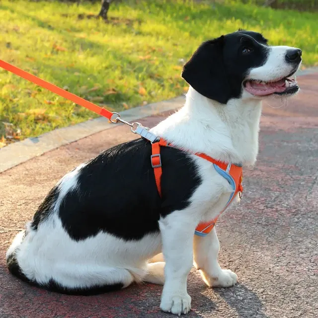 Hundegeschirr-Weste 4