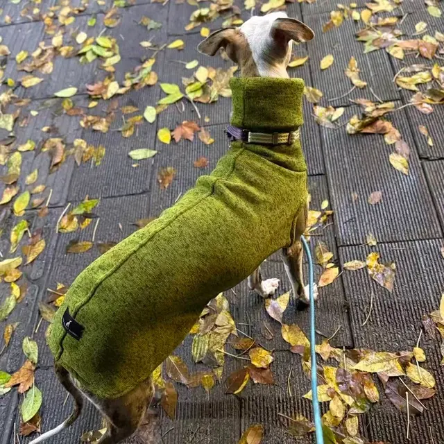 Hunde-Fleece-Pullover 2