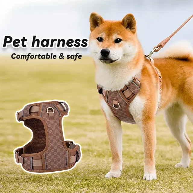 Lederhundegeschirr 2